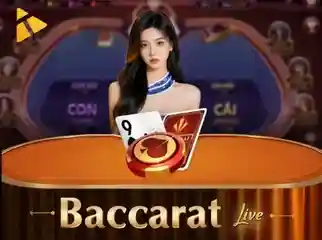 Baccarat Live HO88