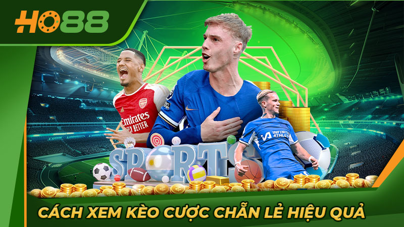 Cách xem kèo cược chẵn lẻ hiệu quả