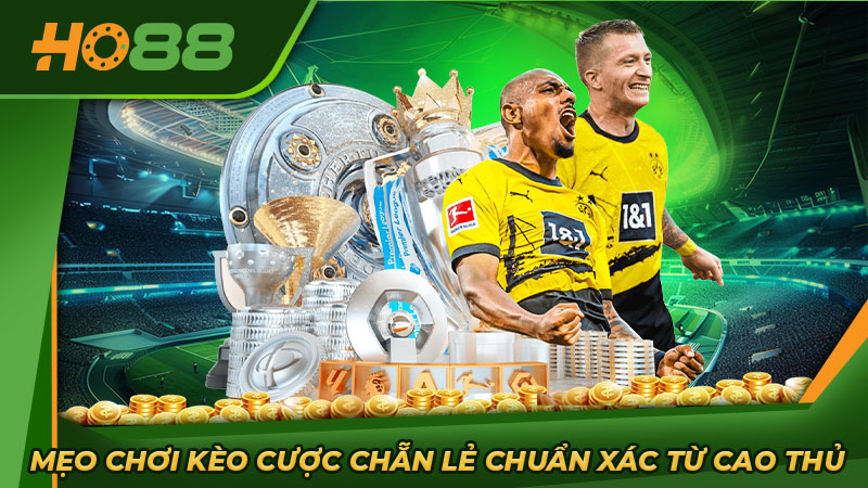 Mẹo chơi kèo cược chẵn lẻ chuẩn xác từ cao thủ