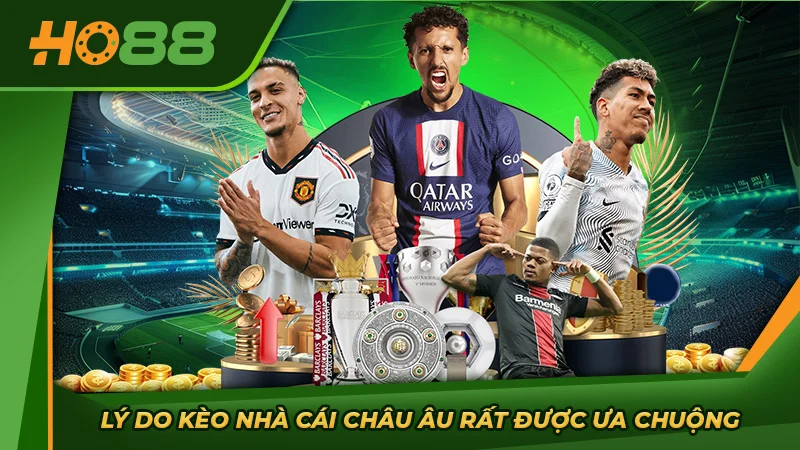 Lý do kèo nhà cái châu Âu rất được ưa chuộng