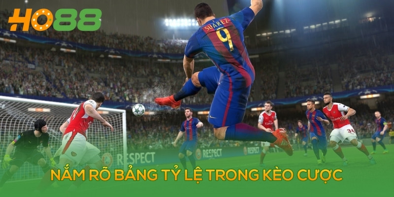 Nắm rõ bảng tỷ lệ trong kèo cược giúp bạn dễ chiến thắng