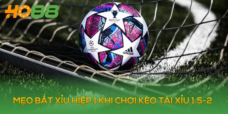 Mẹo bắt xỉu khi chơi kèo tài xỉu